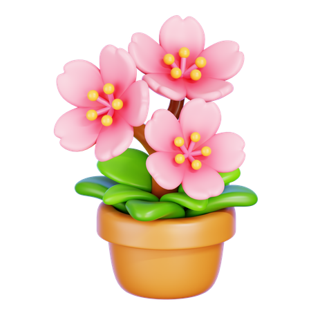 Cherry Blossom  3D Icon