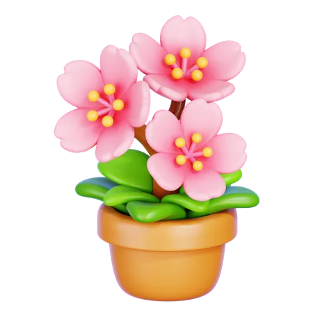 Cherry Blossom  3D Icon