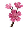 Cherry Blossom Flower