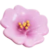 Cherry Blossom Flower