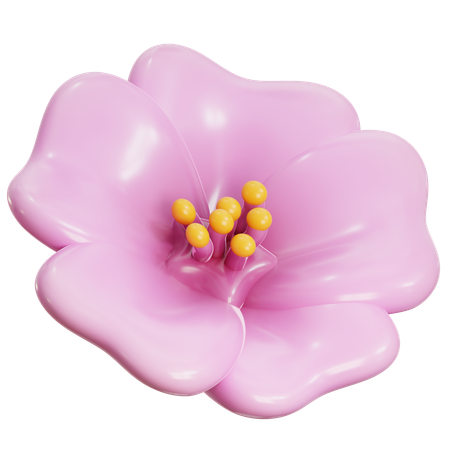 Cherry Blossom Flower  3D Icon