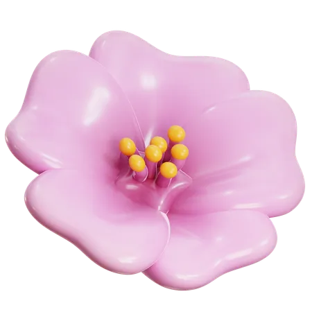 Cherry Blossom Flower  3D Icon