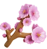 Cherry Blossom With Branch