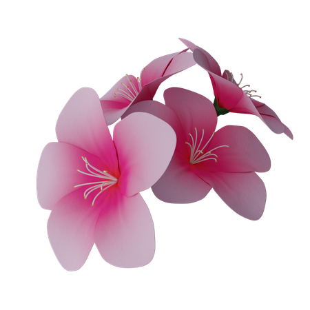 桜  3D Icon