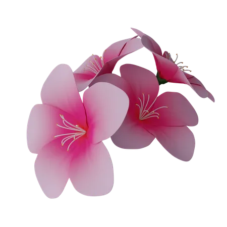 桜  3D Icon