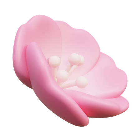 벚꽃  3D Icon