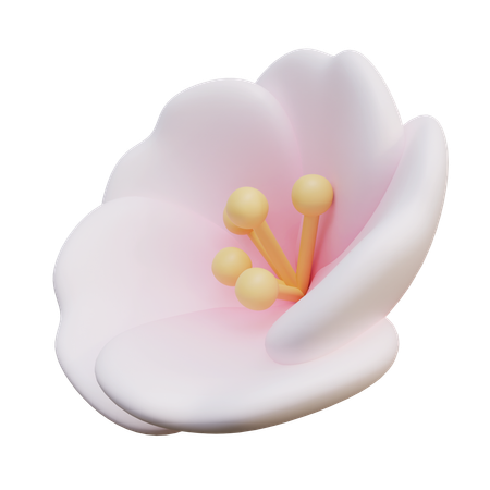 Cherry Blossoms  3D Icon