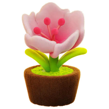 Cherry Blossoms Flower  3D Icon