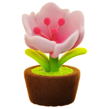 Cherry Blossoms Flower  3D Icon