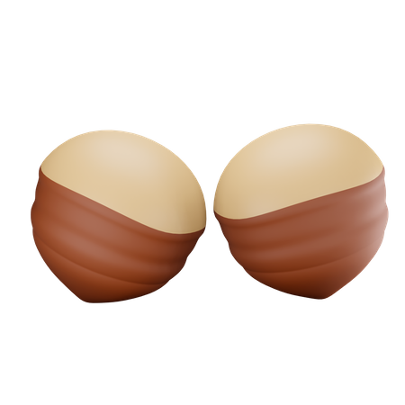 Chestnut  3D Illustration