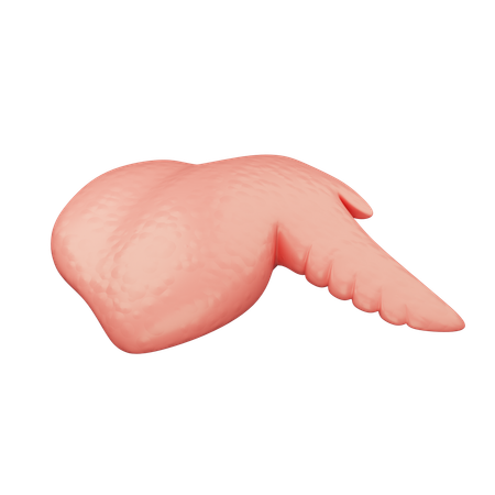 Chicken Wing  3D Icon