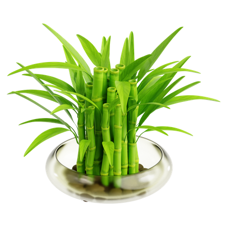 Chines Water Bamboo  3D Icon