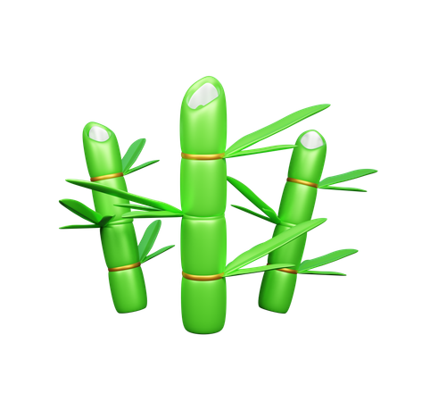 Chinese Bamboo Tree  3D Icon