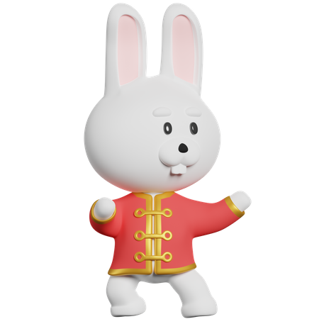 Chinese Rabbit Kung Fu  3D Illustration