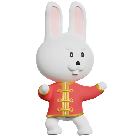 Chinese Rabbit Kung Fu  3D Illustration
