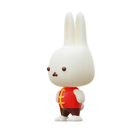 Chinesisches Kaninchen  3D Icon