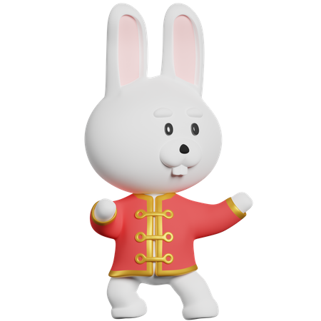 Chinesisches Kaninchen-Kung-Fu  3D Illustration