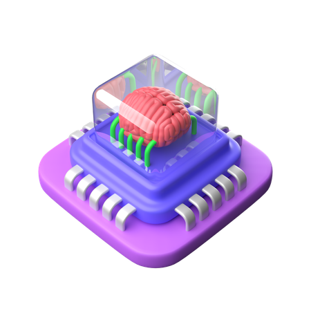 Chip cerebral  3D Icon