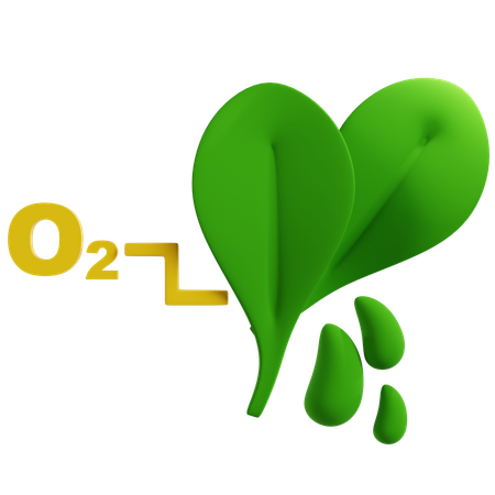 Chlorophyll in Photosynthesis  3D Icon