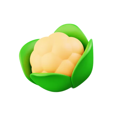 Chou-fleur  3D Icon