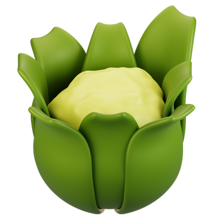 Chou-fleur  3D Icon