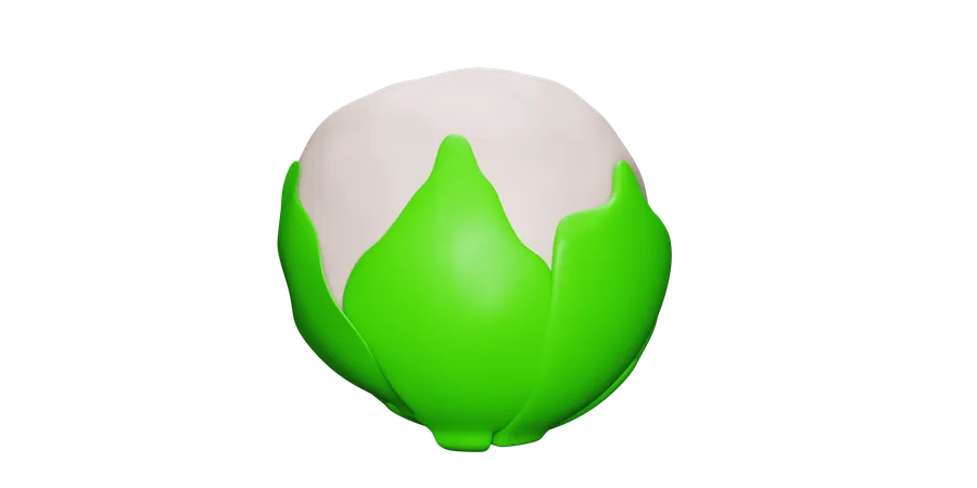 Choux de Bruxelles  3D Icon