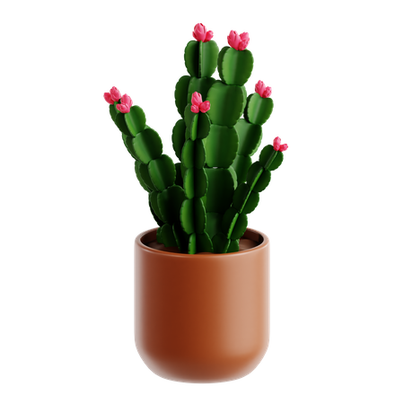 Chrismas Cactus  3D Icon
