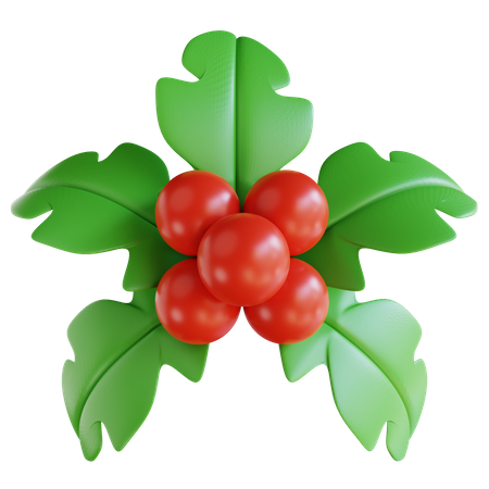 Christmas Holly  3D Icon