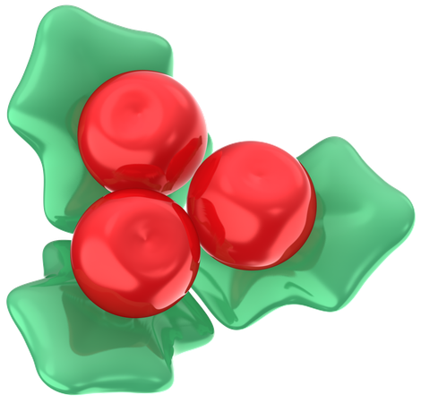 Christmas Holly  3D Icon