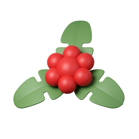 Christmas Holly  3D Icon