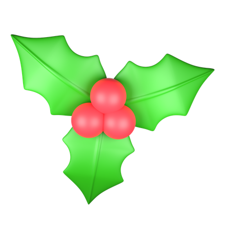 Christmas Mistletoe  3D Icon