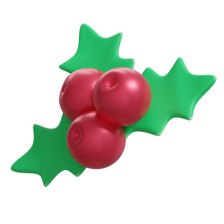 Christmas Mistletoe  3D Icon