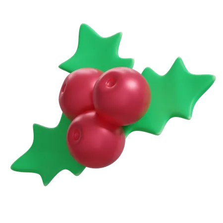 Christmas Mistletoe  3D Icon