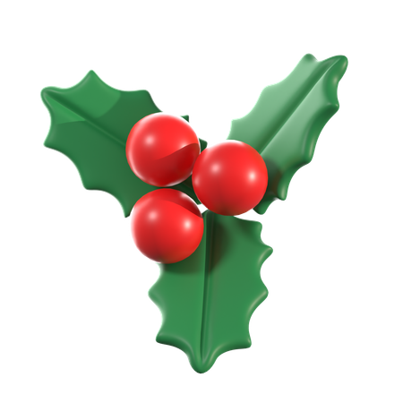 Christmas Mistletoe  3D Icon