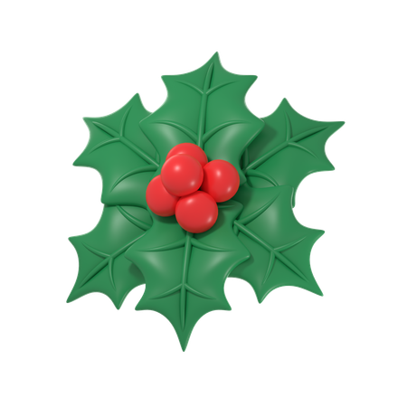 Christmas Mistletoe  3D Icon