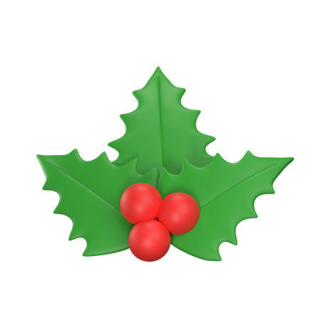 Christmas Mistletoe  3D Illustration