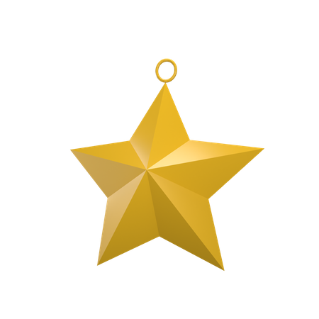 Christmas Star  3D Illustration