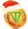 Christmas Toncoin Coin