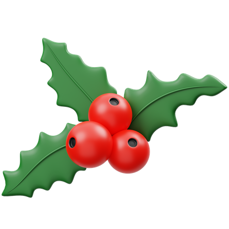 Christmas Wreath  3D Icon