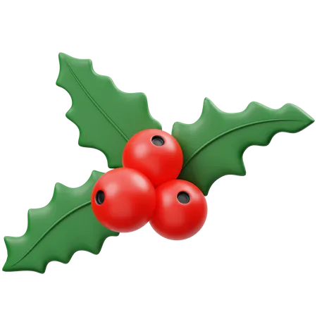 Christmas Wreath  3D Icon