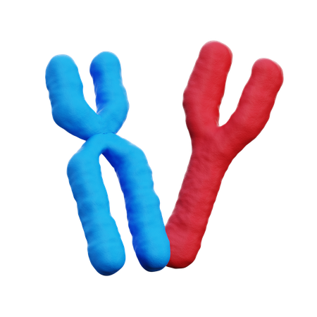 Chromosome  3D Icon