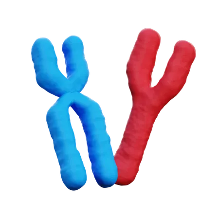 Chromosome  3D Icon