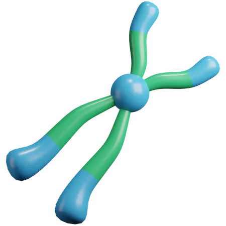 Chromosome  3D Icon