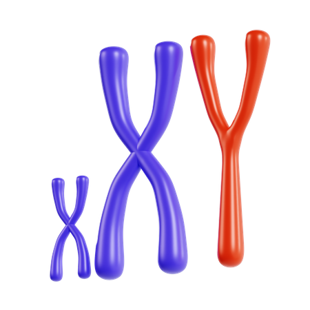 Chromosome  3D Icon