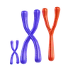 Chromosome