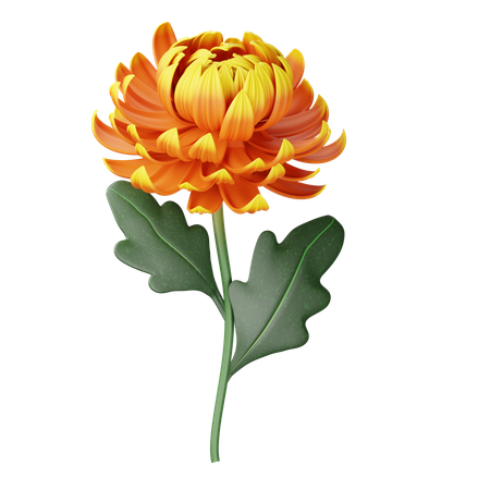 Chrysanthème  3D Icon