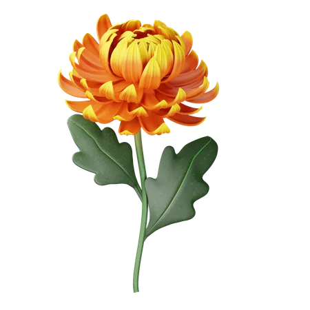 Chrysanthème  3D Icon