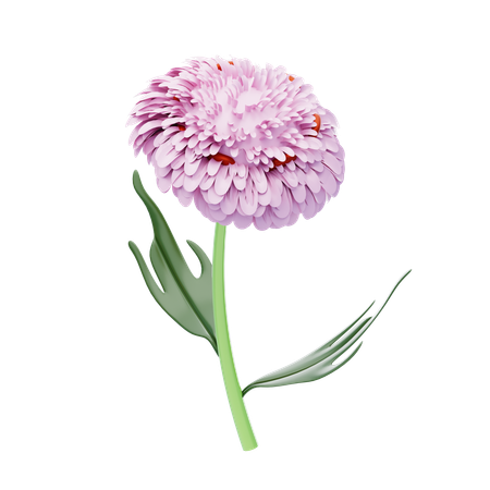 Chrysanthème  3D Icon