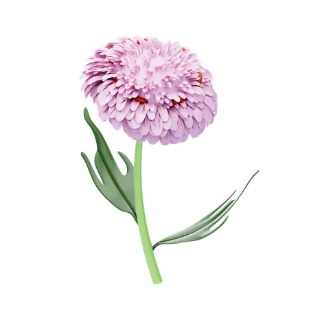 Chrysanthème  3D Icon