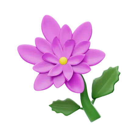 Chrysanthème  3D Icon